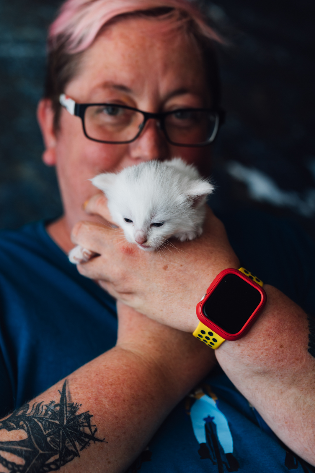 Business Shooting, Katzenzucht, Norwegische Waldkatze, Businessbilder mit Herz, Authentic Pure
