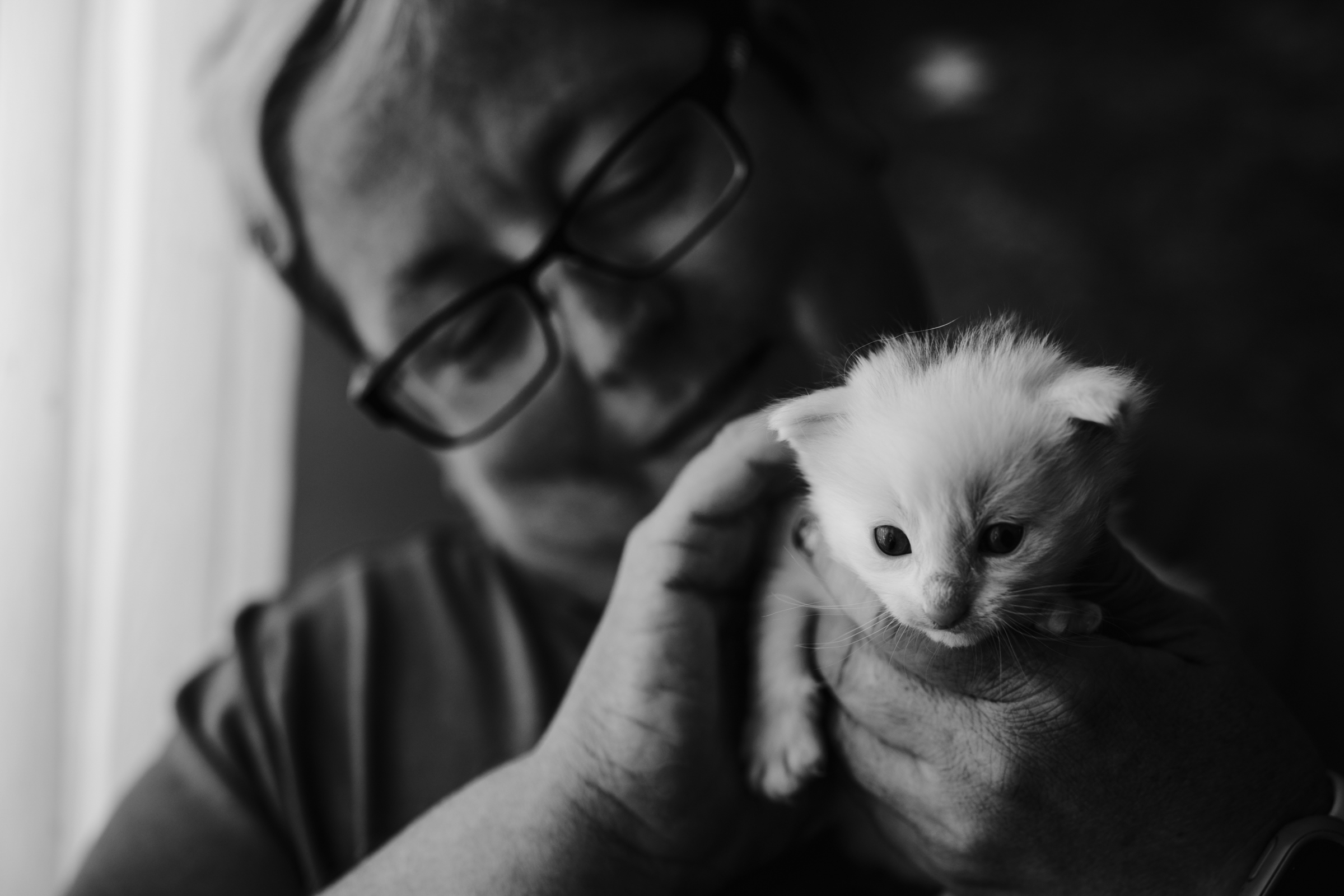 Businessfotografie mit Herz, Katzenzucht, Norwegische Waldkatze, Conentbilder, Content Shooting, Fotograf Emden